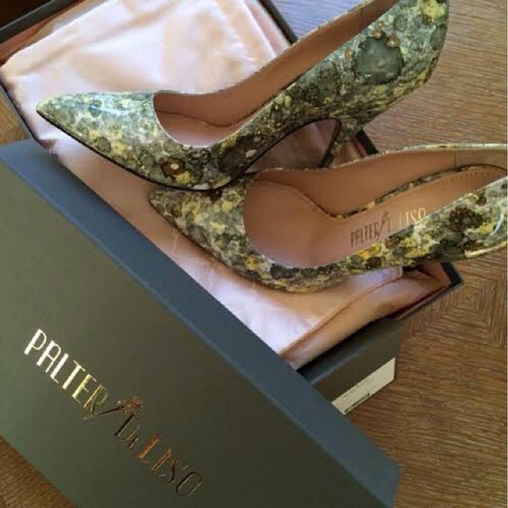 NWOB Palter DeLiso Monet Hand Painted Pumps